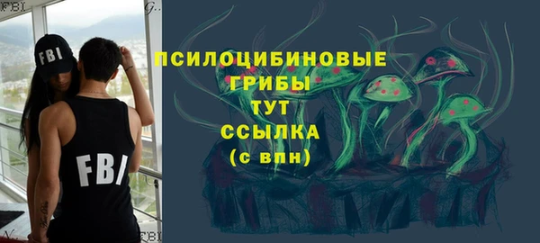 марки nbome Ельня