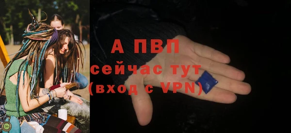 ПСИЛОЦИБИНОВЫЕ ГРИБЫ Дмитров