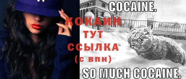 mdpv Дмитриев