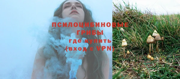 марки nbome Ельня