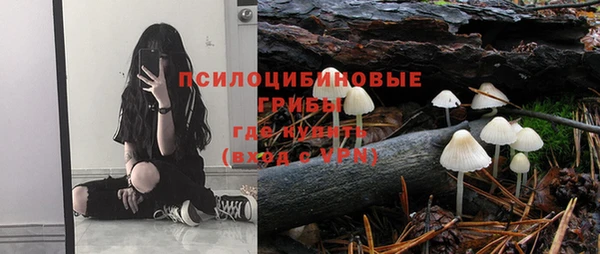 марки nbome Ельня