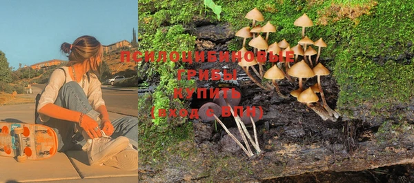 марки nbome Ельня